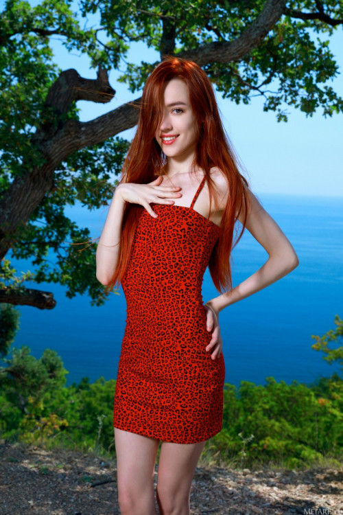 1c4K7y2Y0s8F fapit cc 004