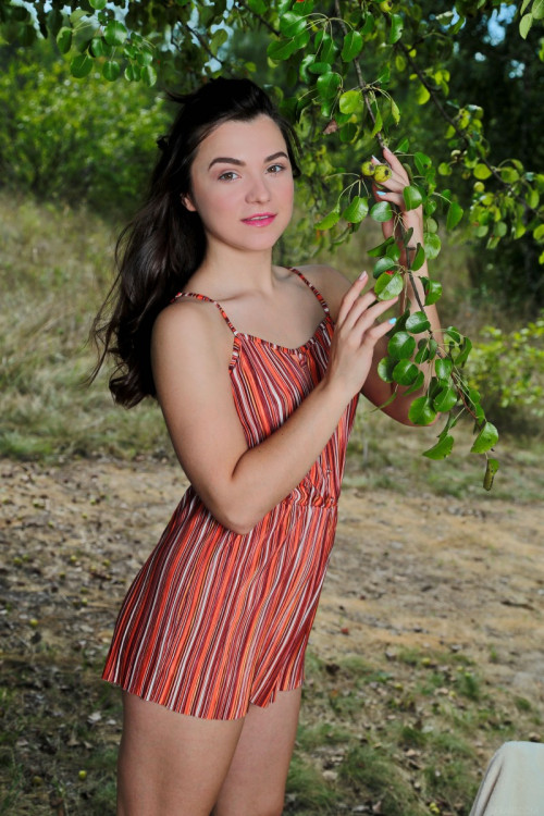 1g0C3a2T9t9X fapit cc 03