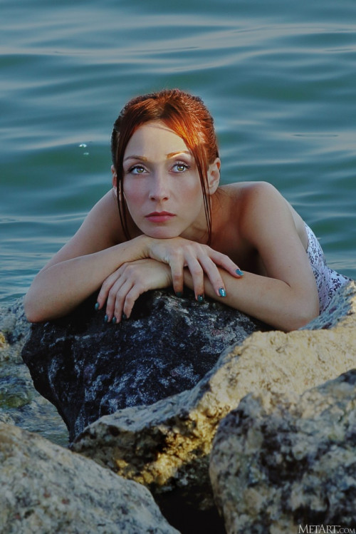 1x6Z9e1W1w5V fapit cc 002