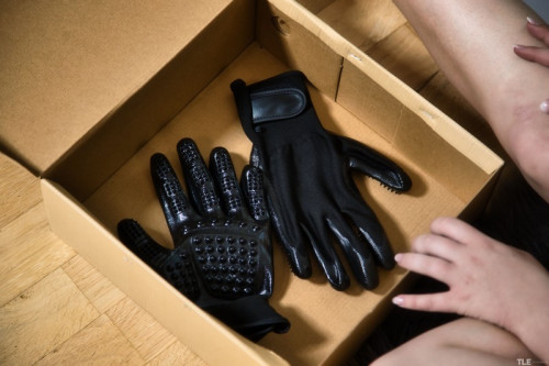 1c8H4y3W6i3Q fapit cc 04