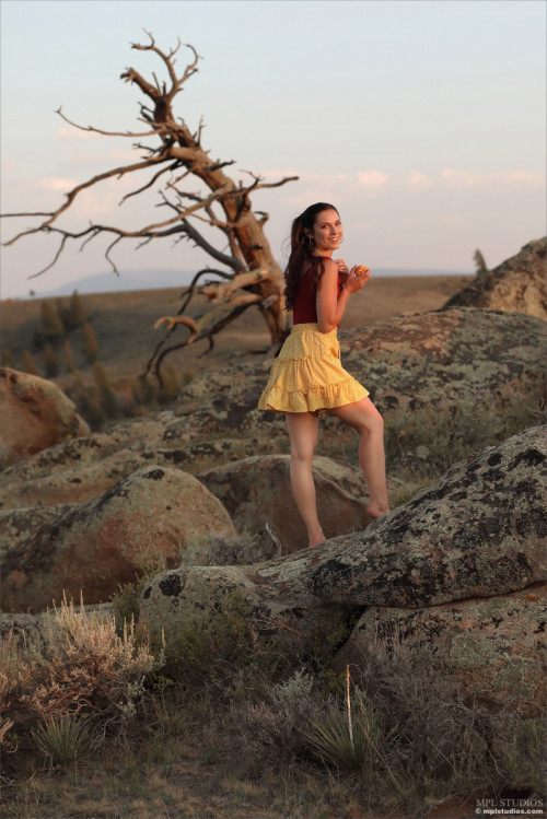 1d4I6h0N3m6R fapit cc 002