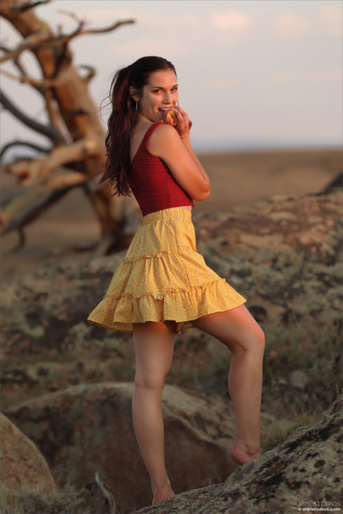 1d4I6h0N3m6R fapit cc 003