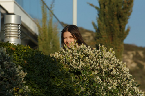 1q0E9x3A1u8I fapit cc 02