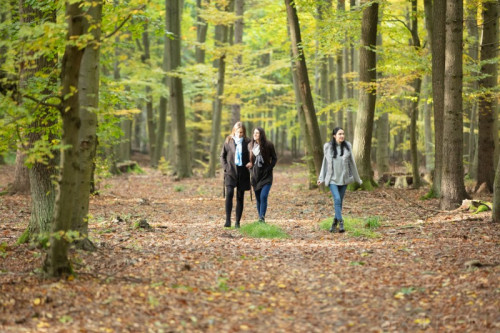 1k1L2m9T3z8A fapit cc 001