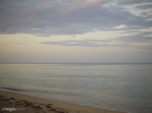 1b8S0g0T3f0I fapit cc 02