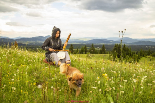 1d6D0h8H1l8L fapit cc 01