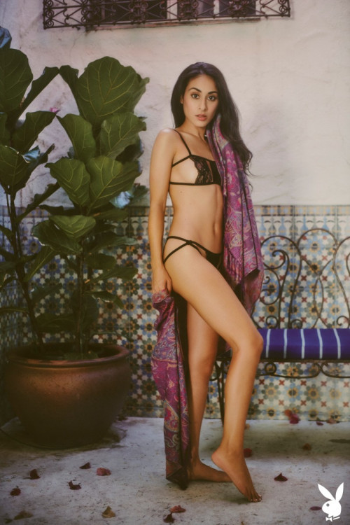 1l9Z2x0W3g7M fapit cc 02