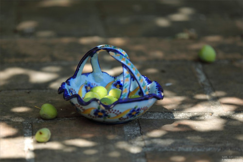 1e2A9r2B3t2I fapit cc 001