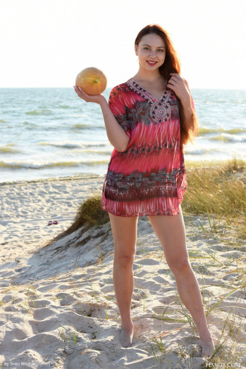 1p2G5w1X1e1I fapit cc 003