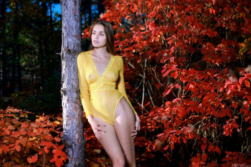 1o4E7y9J7w8E fapit cc 002