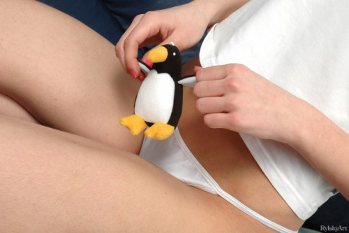 1p1V0j6W5r3R fapit cc 04