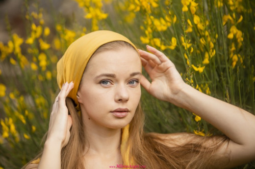 1m4N8l2S1l8C fapit cc 01