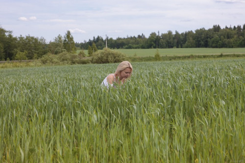 1i2S7y3C7a2M fapit cc 002