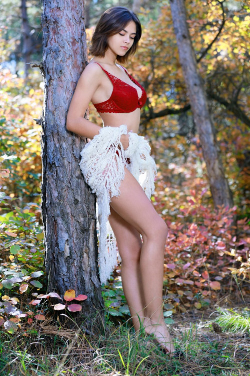 1w1H7w1G1e0Z fapit cc 003