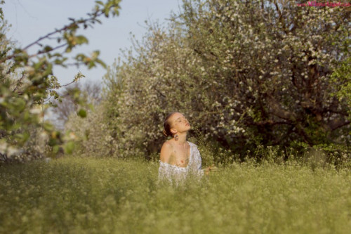 1e1W7a8F6l2T fapit cc 004