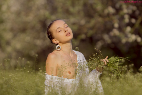 1e1W7a8F6l2T fapit cc 005