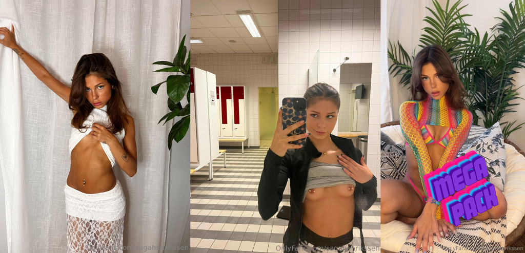 Sagahenrikssen [MEGAPACK]