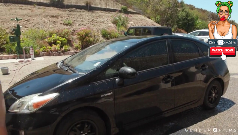 Trans Carwash Adira Allure, Spencer Bradley, Emma Rose, Gracie Jane, Jayne Calloway, Kasey Kei, Victoria Grant, Andre Stone, Cliff Jensen, Michael DelRay, Sage Roux, Tony Sting